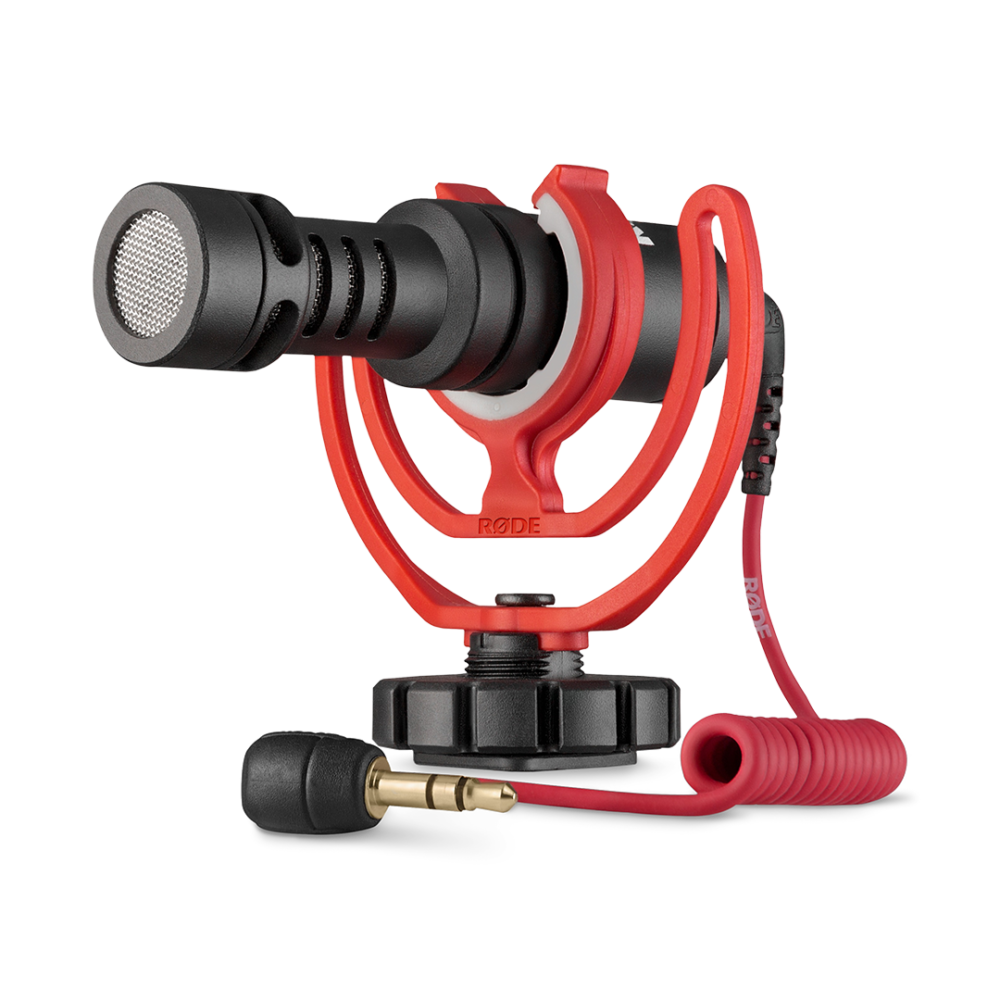 VideoMicro